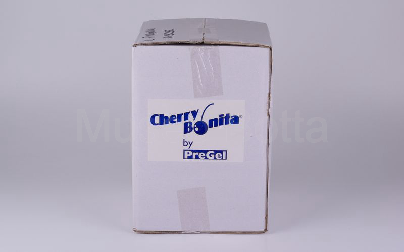 CHERRY BONITA PREGEL vaso in ceramica bianco